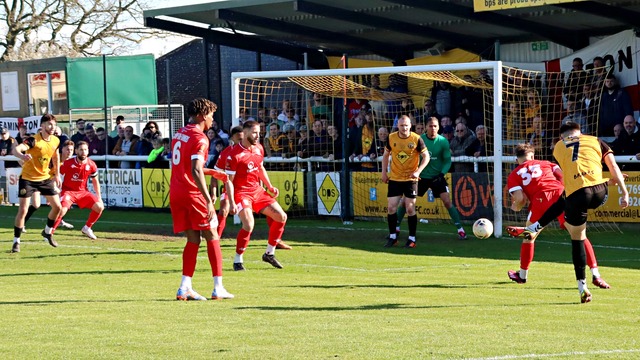 Hereford Cross Scores 